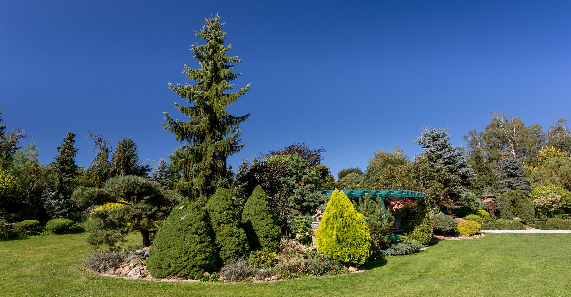 Coniferes Magasin -Coniferes Magasin 13 1753